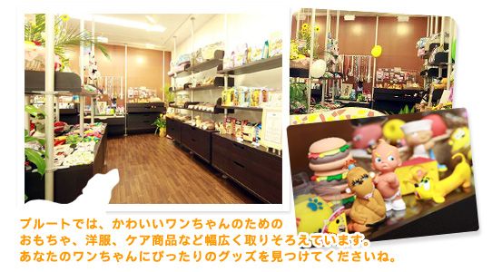 千葉県松戸市のペットホテル PetSalon Pluto +C店の6枚目