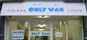 ONLY WAN