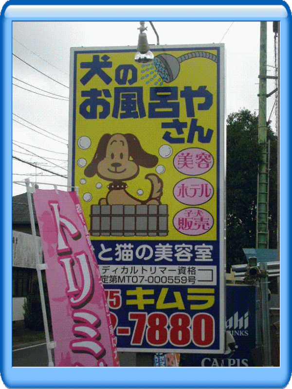 千葉県東金市のペットホテル 犬と猫の美容室　キムラのサムネイル1枚目