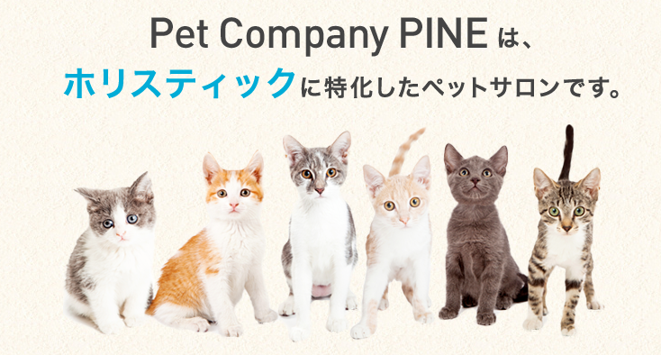東京都世田谷区のペットホテル Pet Company PINEの2枚目