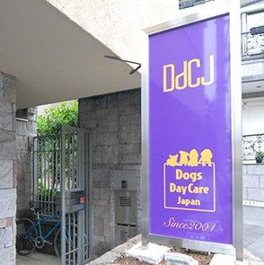 東京都港区のペットホテル Dogs Day Care Japanの1枚目