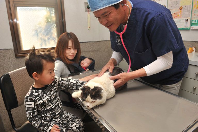 神奈川県厚木市のペットホテル 長谷川動物病院のサムネイルのサムネイル2枚目