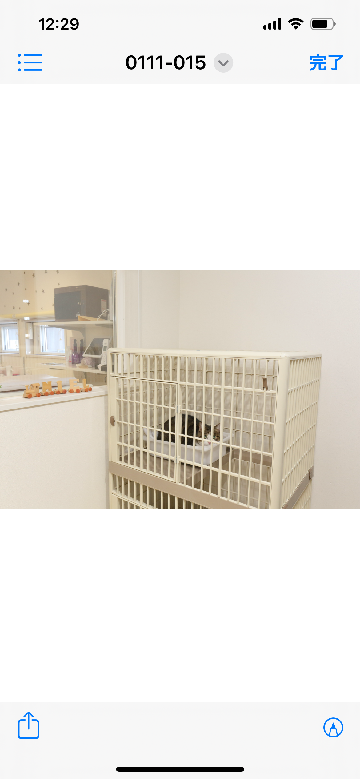 島根県浜田市のペットホテル DOG SALON MIEL.のサムネイルのサムネイル2枚目