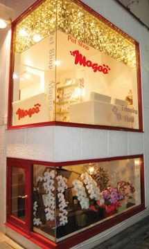 東京都目黒区のペットホテル ペットショップ Mogoo(モグー)の3枚目