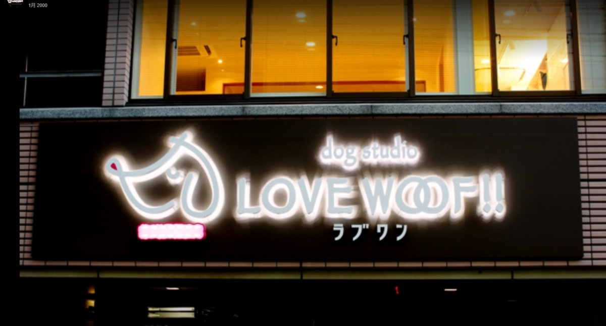 東京都中央区のペットホテル ドッグスタジオ ラブワン!! 銀座新富(dog studio LOVE WOOF!! )のサムネイルのサムネイル2枚目