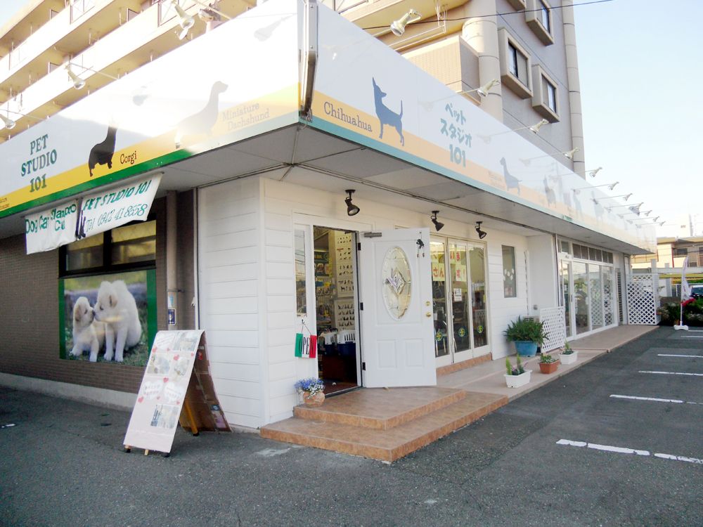 福岡県久留米市のペットホテル PET STUDIO 101 久留米店のサムネイル1枚目