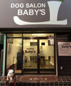 神奈川県川崎市川崎区のペットホテル Dog Salon Baby'sの1枚目