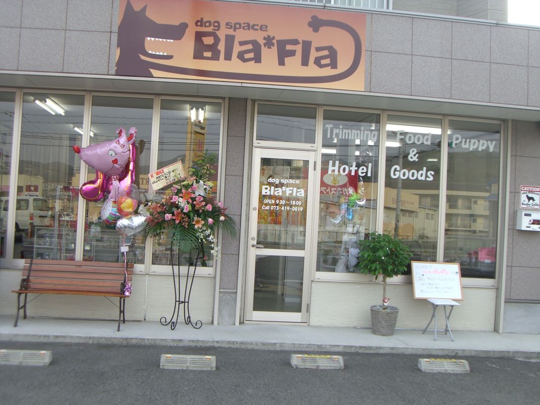 和歌山県和歌山市のペットホテル dog space Bla*Flaの1枚目