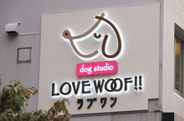 東京都港区のペットホテル dog studio LOVE WOOF! !  品川芝浦の1枚目