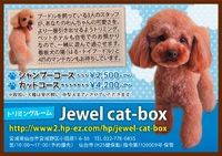宮城県仙台市宮城野区のペットホテル トリミングルーム Jewel cat-boxの2枚目