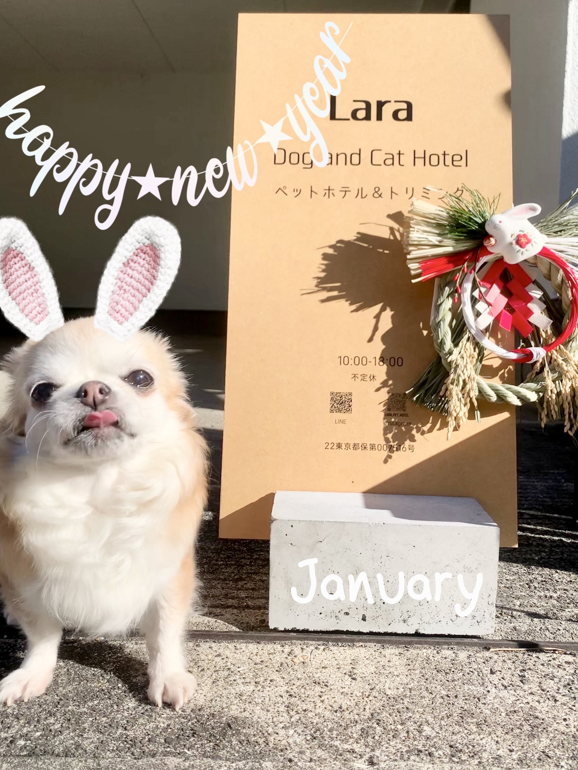 東京都中野区のペットホテル ペットホテル Laraの8枚目