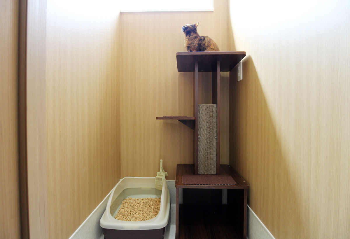 兵庫県宝塚市のペットホテル 宝塚まりも動物病院のサムネイルのサムネイル2枚目