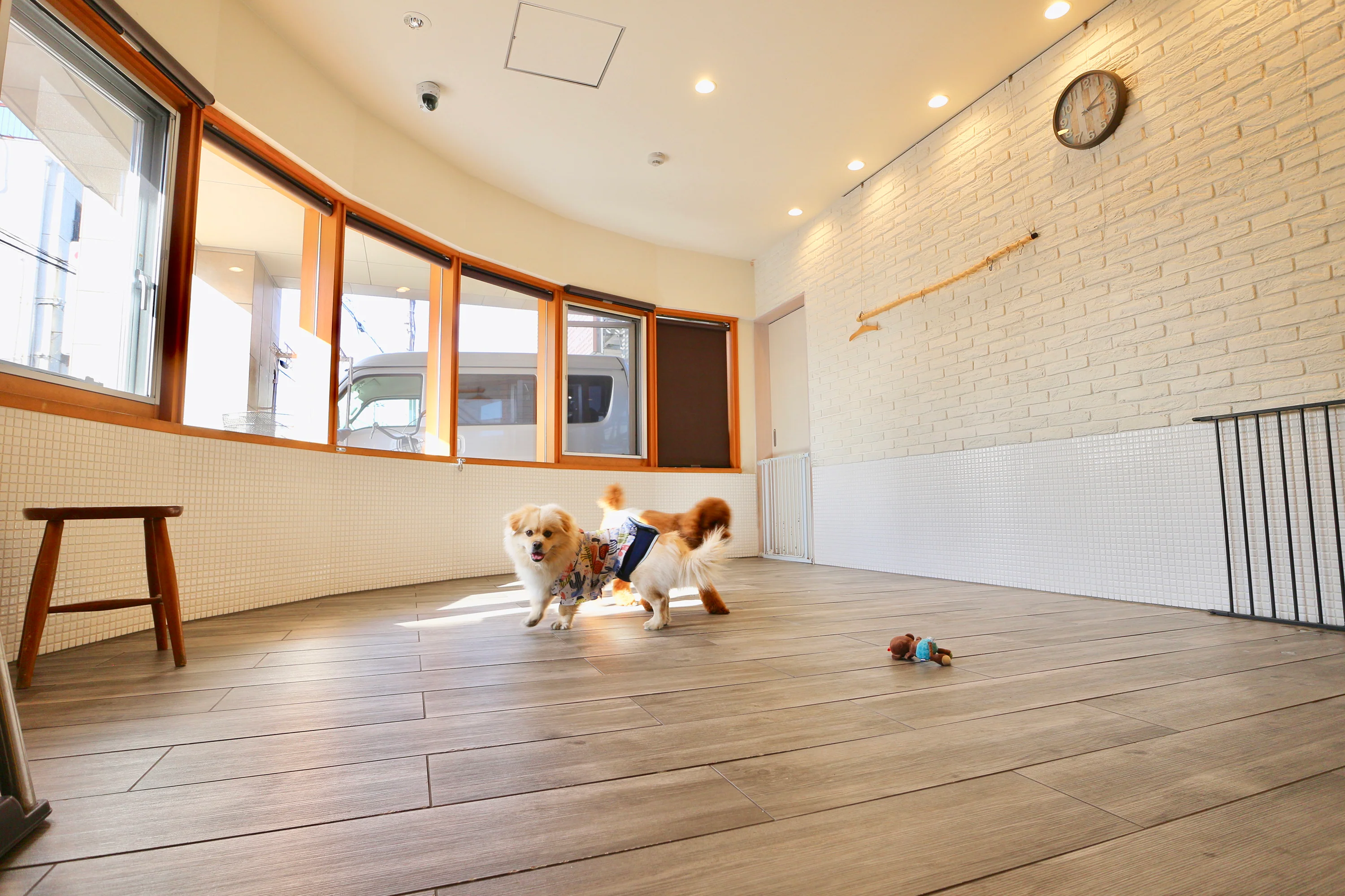 京都府京都市北区のペットホテル DOG GOODS • SALON • HOTEL yippeeの2枚目