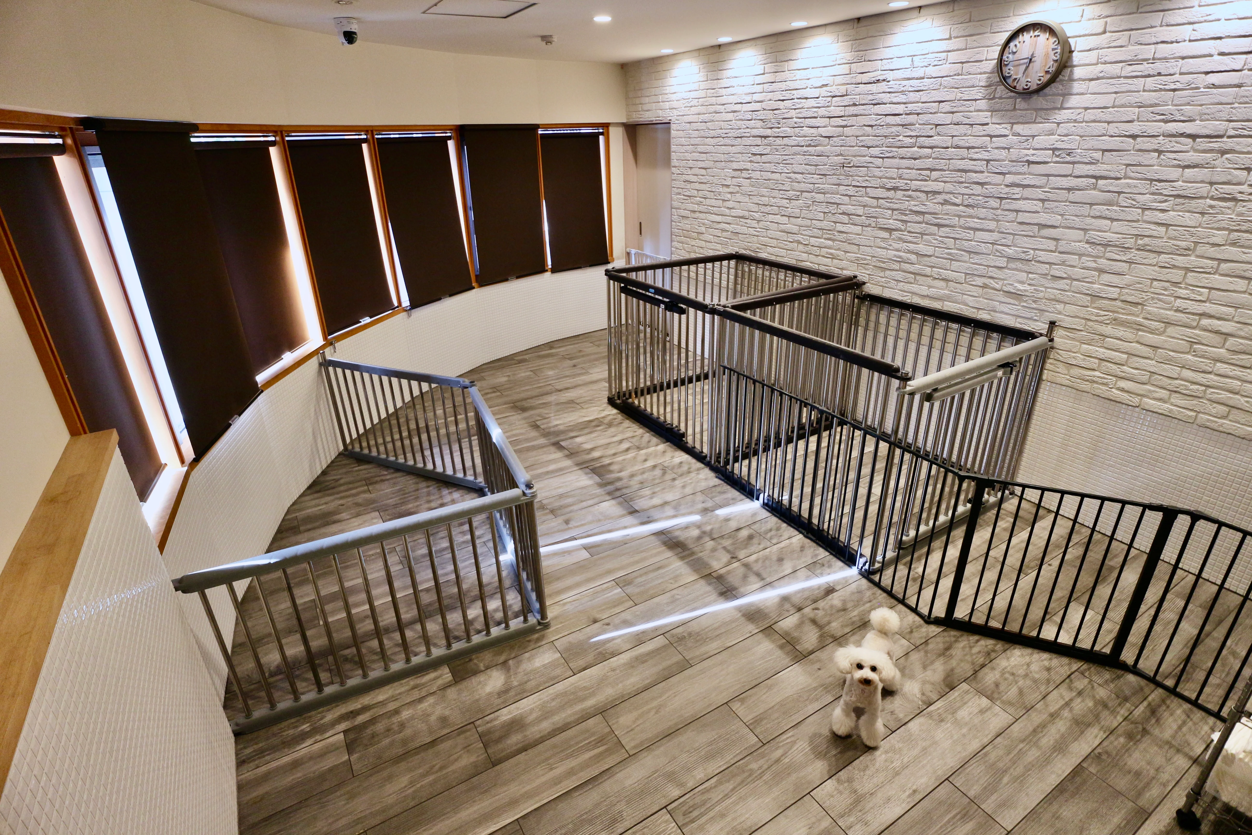 京都府京都市北区のペットホテル DOG GOODS • SALON • HOTEL yippeeの3枚目