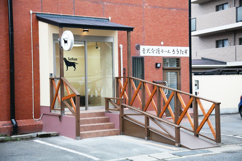 京都府京都市伏見区のペットホテル 老犬介護ホームろうたすのサムネイルのサムネイル1枚目