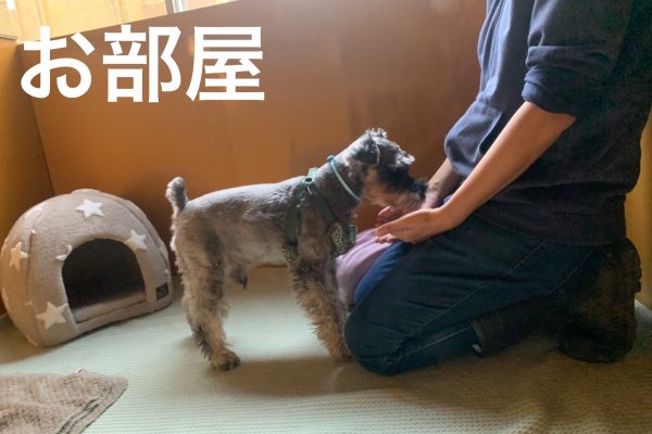 千葉県九十九里町のペットホテル 老犬ホーム&ペットホテル 九十九里パークの1枚目