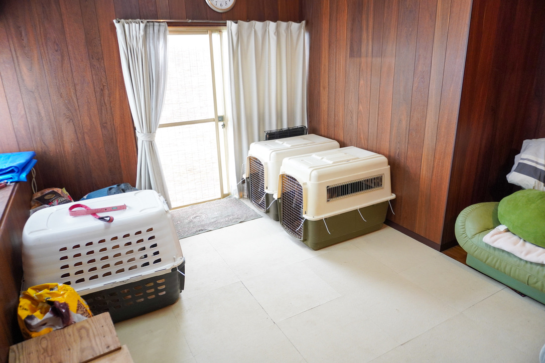 広島県大竹市のペットホテル ドッグスクールIDEALのサムネイルのサムネイル2枚目