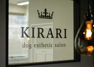 大阪府松原市のペットホテル dog esthetic salon KIRARIの2枚目