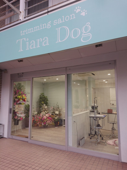 福岡県福岡市中央区のペットホテル trimming salon Tiara Dogの1枚目