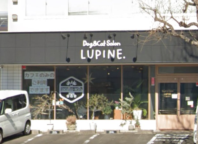 宮城県仙台市宮城野区のペットホテル Dog＆Cat Salon LUPINE.のサムネイルのサムネイル1枚目