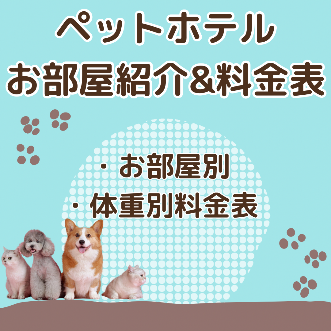 愛知県名古屋市港区のペットホテル ワンルーク名古屋港区東海通店のサムネイルのサムネイル2枚目