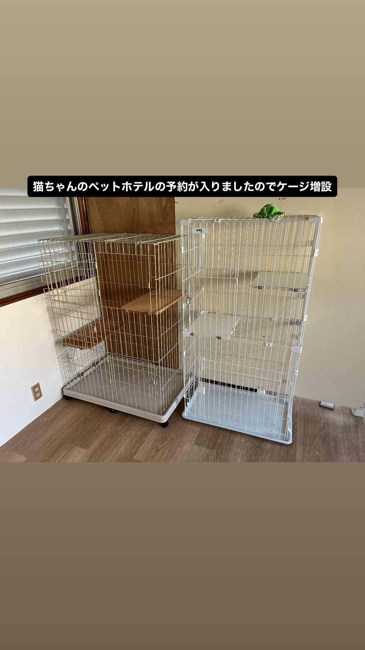 福岡県福岡市城南区のペットホテル トリミングサロンあみのサムネイルのサムネイル1枚目