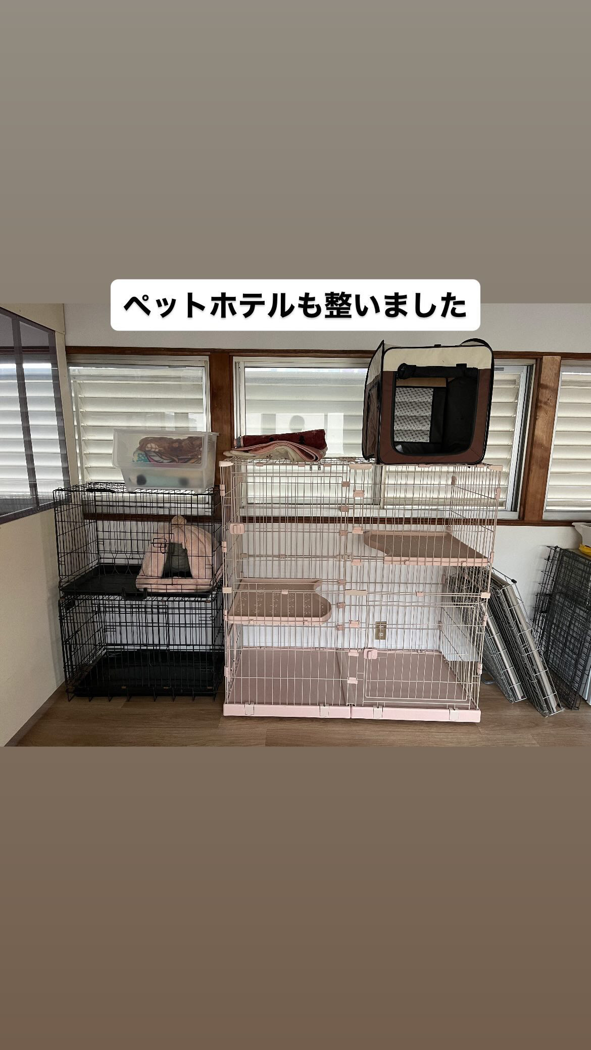 福岡県福岡市城南区のペットホテル トリミングサロンあみのサムネイルのサムネイル2枚目
