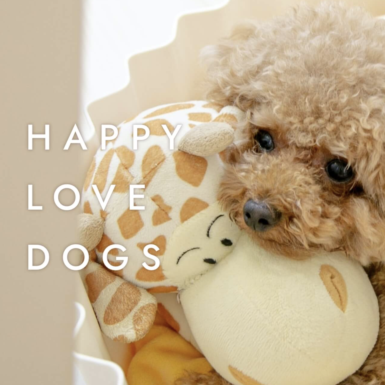 長野県上田市のペットホテル Pet Salon Ru-のサムネイルのサムネイル1枚目