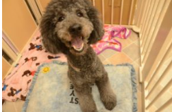 宿泊 3枚目