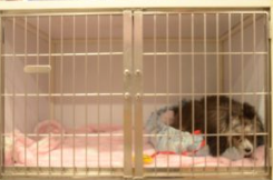 宿泊 1枚目