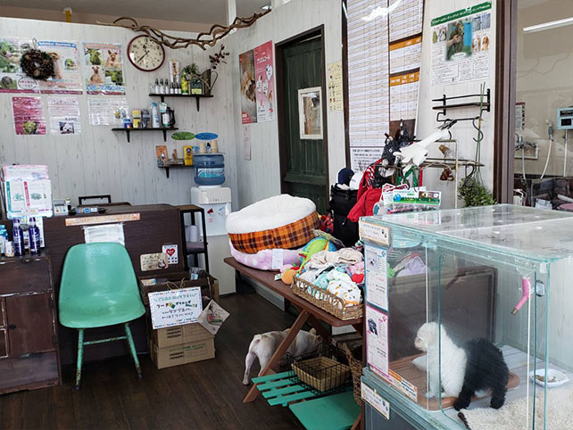 福岡県福岡市南区のペットホテル Pet's Salon パレハ本店の1枚目