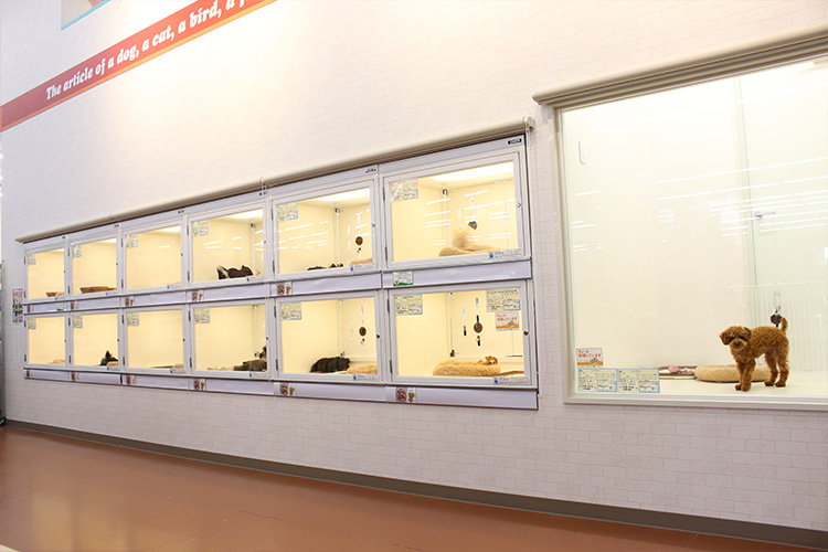 新潟県小千谷市のペットホテル ペットアミ　小千谷店のサムネイルのサムネイル1枚目