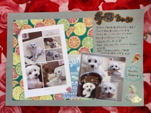 ワンちゃんの癒しと飼い主さまの安心をモットーに多彩なサービスでお待ちしております