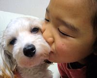 長野県松本市のペットホテル DOG ESTHE CHANTY（本店）のサムネイルのサムネイル2枚目