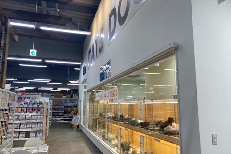 新潟県柏崎市のペットホテル ペットアミ 柏崎店の1枚目