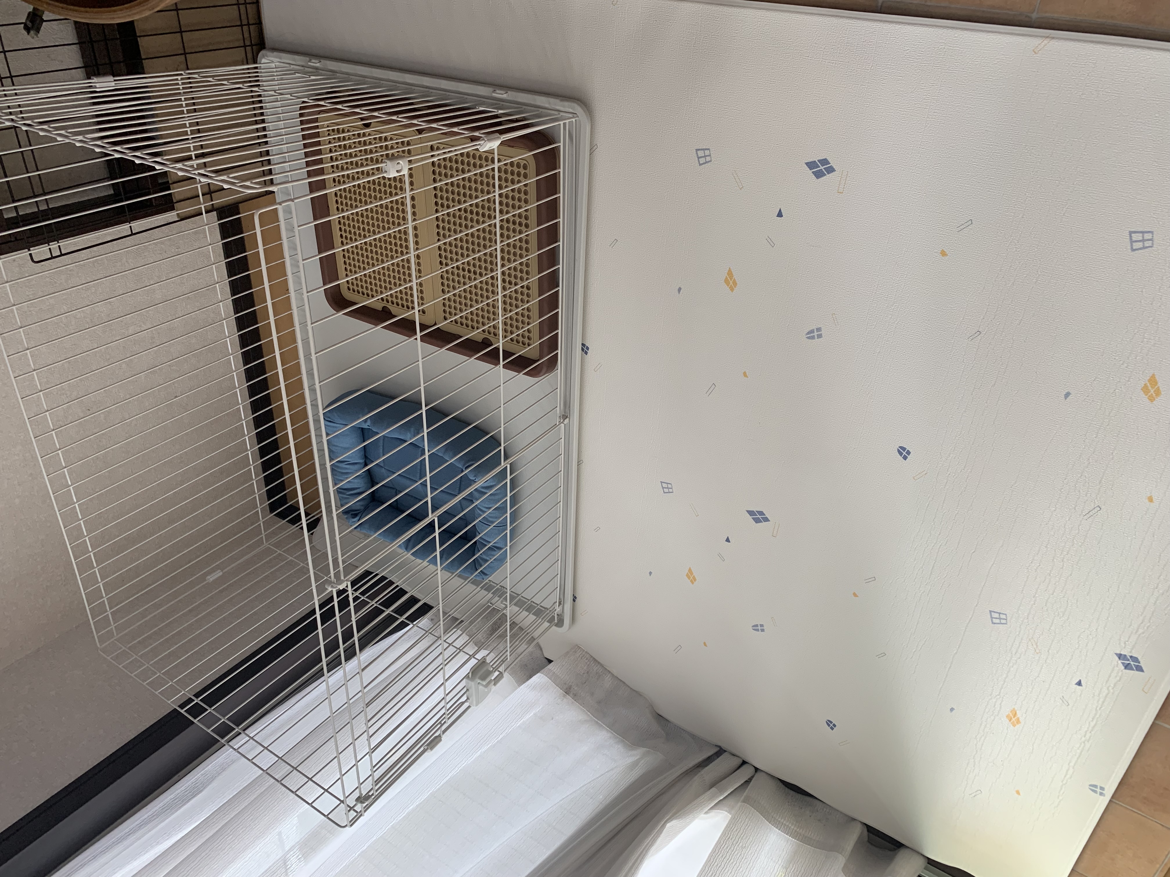 神奈川県大和市のペットホテル ピアツリーの1枚目