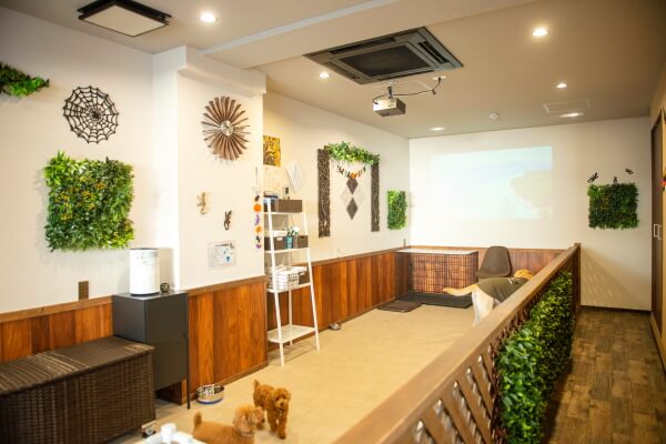 ペットホテルLucu のサムネイル