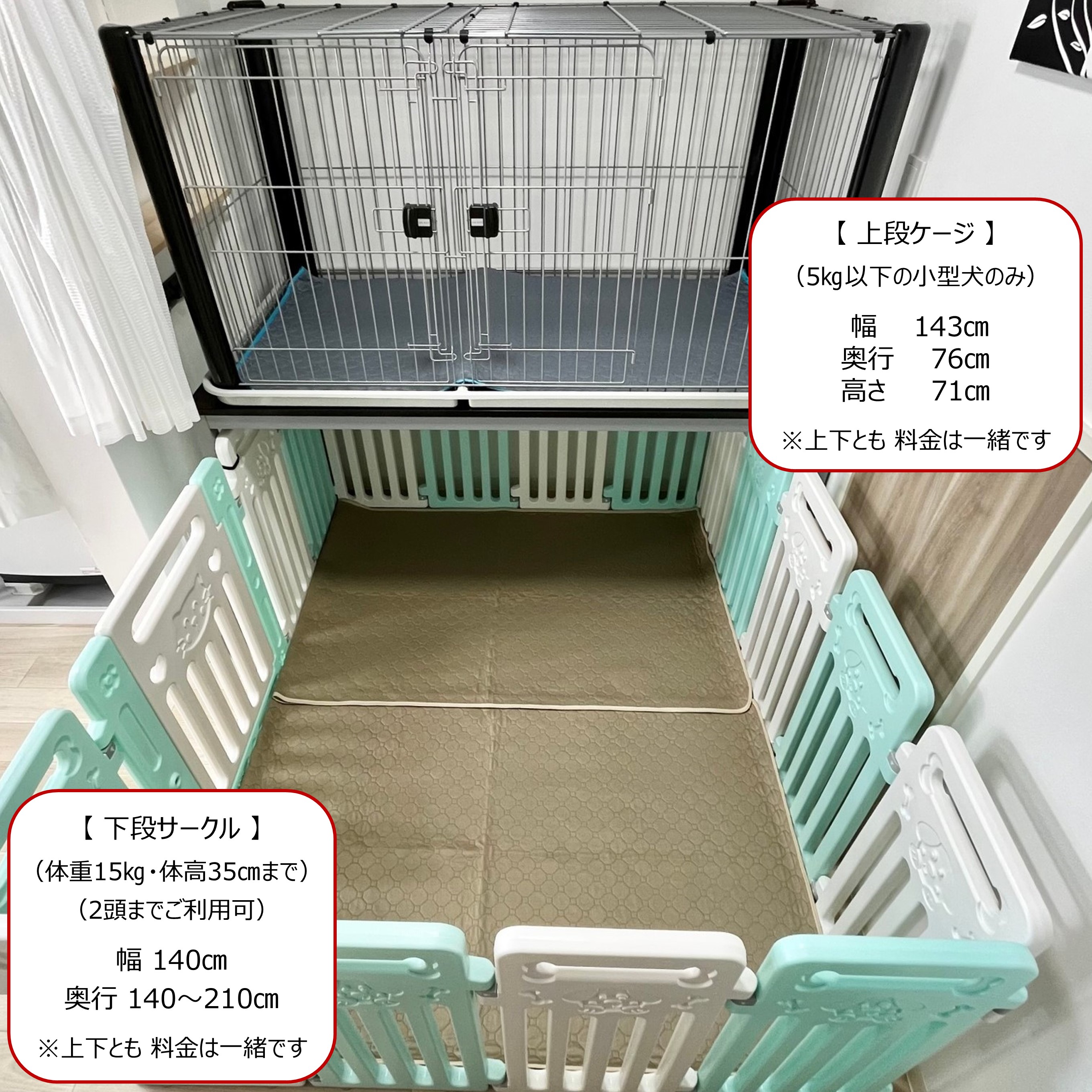 岐阜県大垣市のペットホテル 猫と犬のペットホテル＆トリミングサロン【シエスタ】のサムネイルのサムネイル2枚目