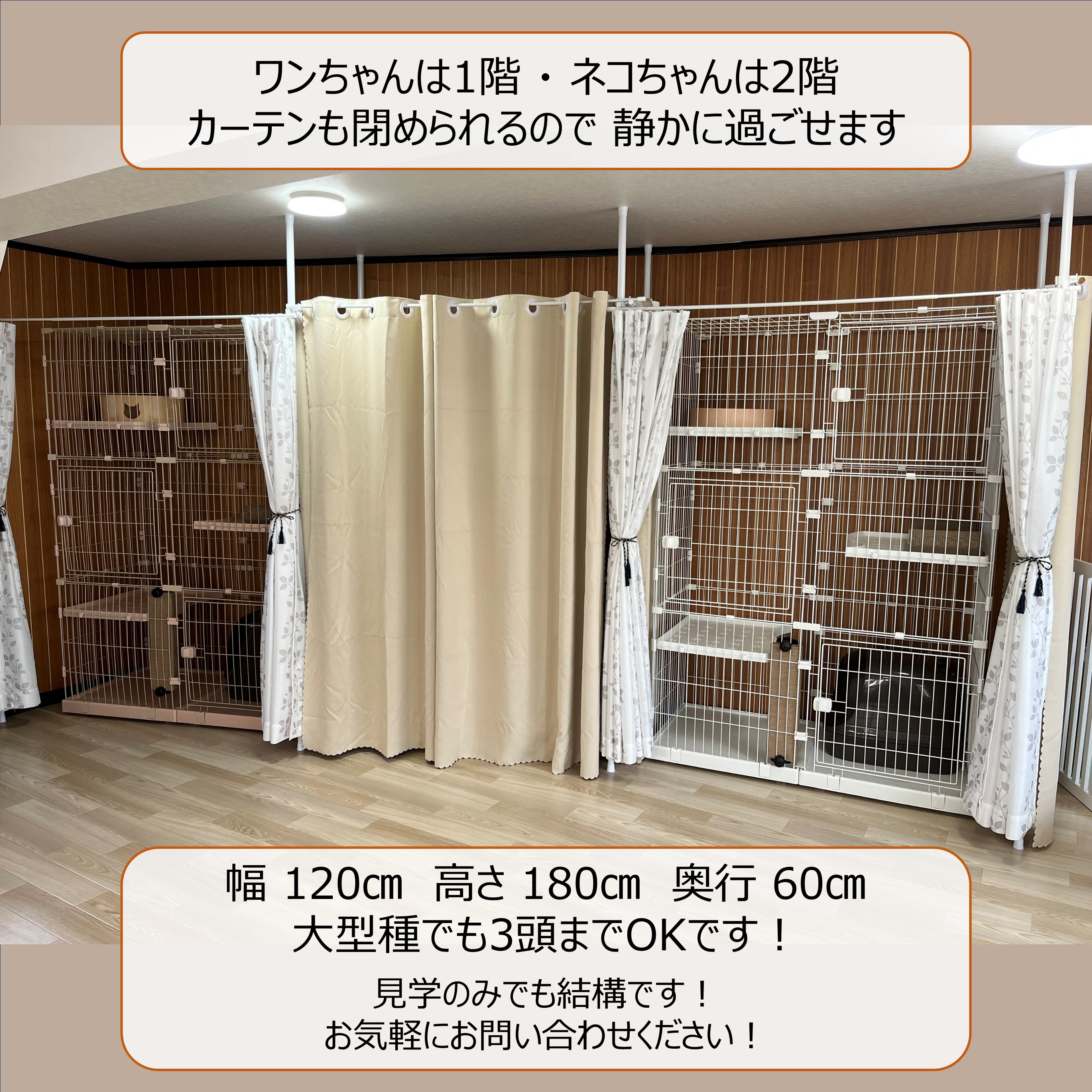 岐阜県大垣市のペットホテル 猫と犬のペットホテル＆トリミングサロン【シエスタ】のサムネイルのサムネイル1枚目