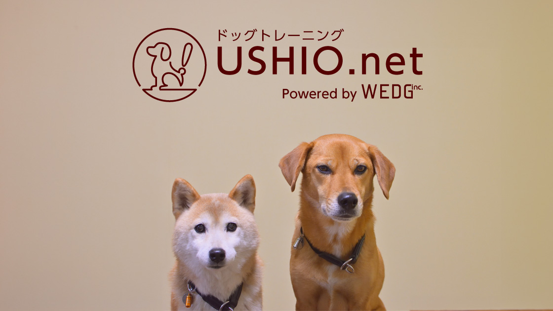 ご予約方法について