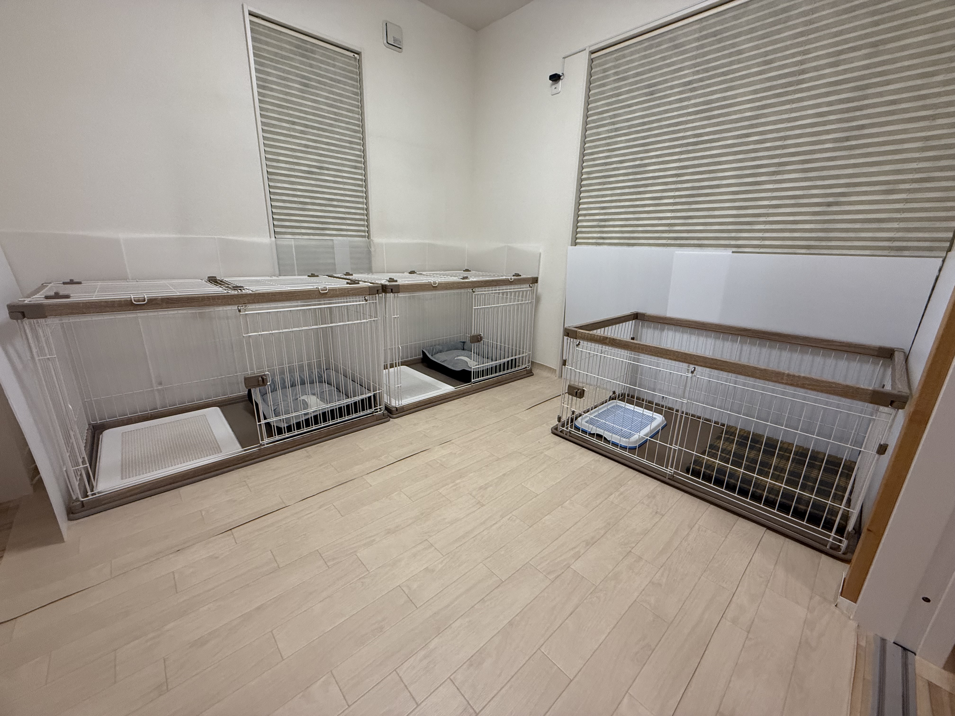 小型犬(〜6kg未満) 2枚目
