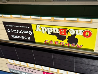 埼玉県越谷市のペットホテル OneBuddy南越谷店のサムネイルのサムネイル1枚目