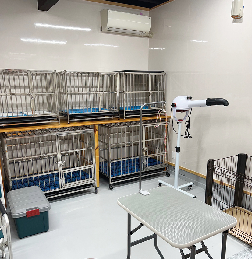 千葉県香取市のペットホテル ドッグコミュニティーベース　キャリーヌのサムネイルのサムネイル2枚目