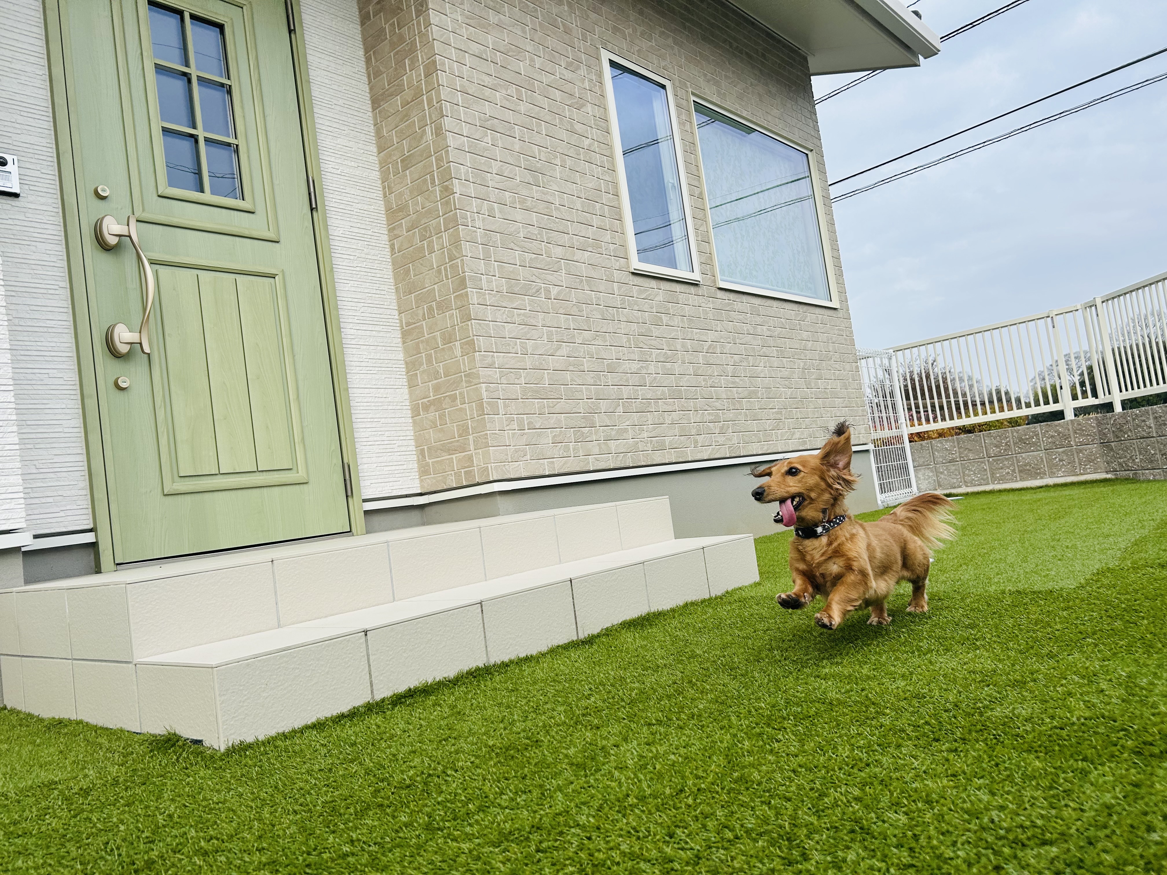 香川県三木町のペットホテル PetSalon&Hotel YUURIのサムネイルのサムネイル1枚目