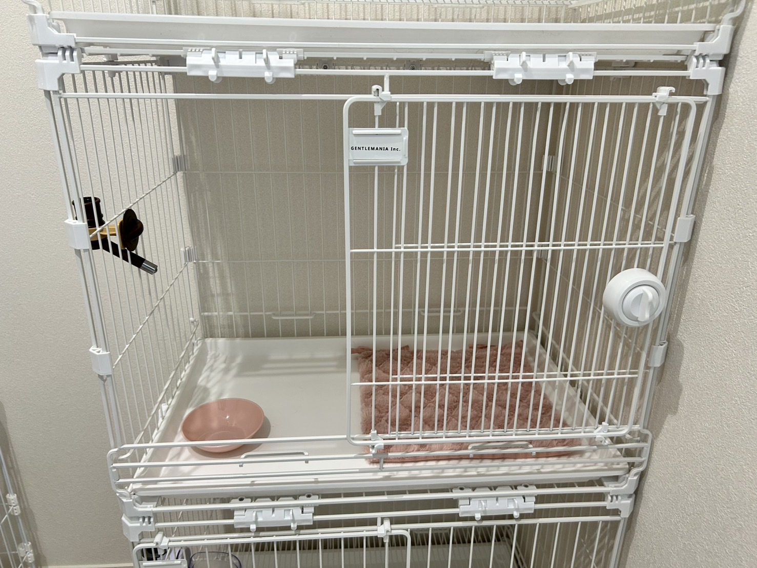 小型犬・小さな中型犬・猫限定 1枚目