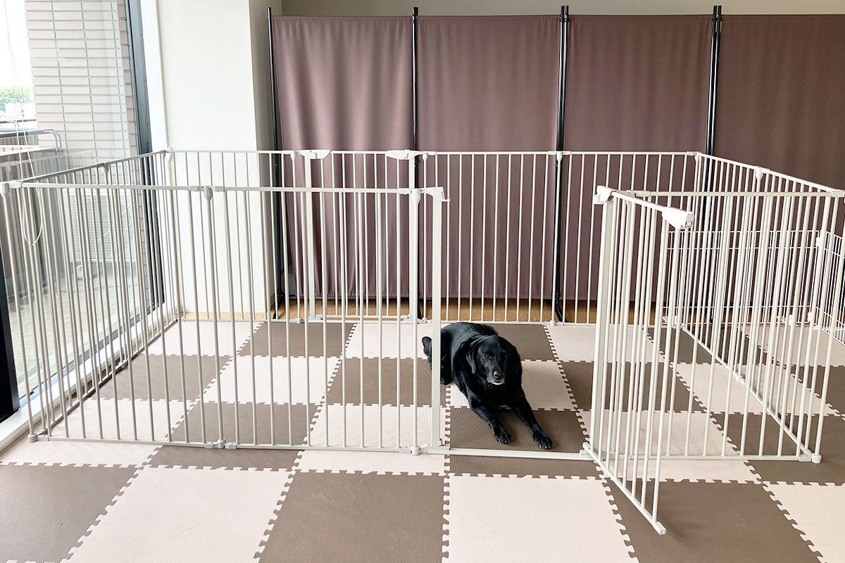 埼玉県さいたま市北区のペットホテル Dogsalon わんPeaceの6枚目