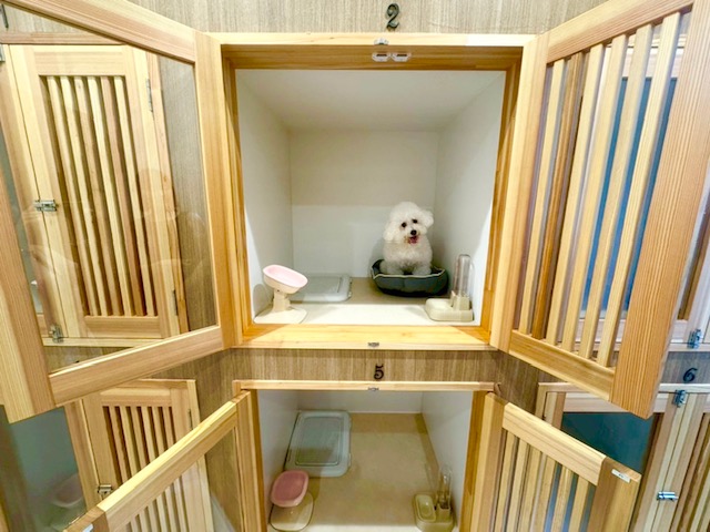 宮崎県宮崎市のペットホテル Dogsalon&Hotelとろろの4枚目