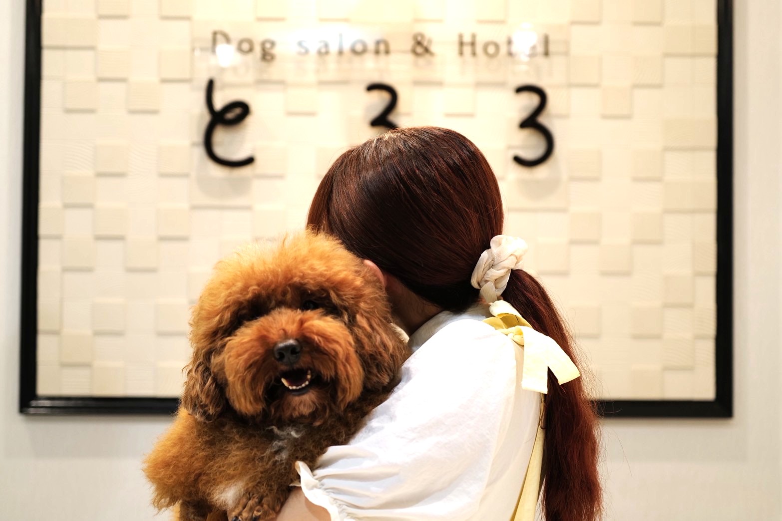 宮崎県宮崎市のペットホテル Dogsalon＆Hotelとろろのサムネイルのサムネイル1枚目