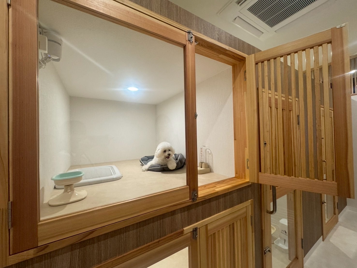 宮崎県宮崎市のペットホテル Dogsalon&Hotelとろろの5枚目