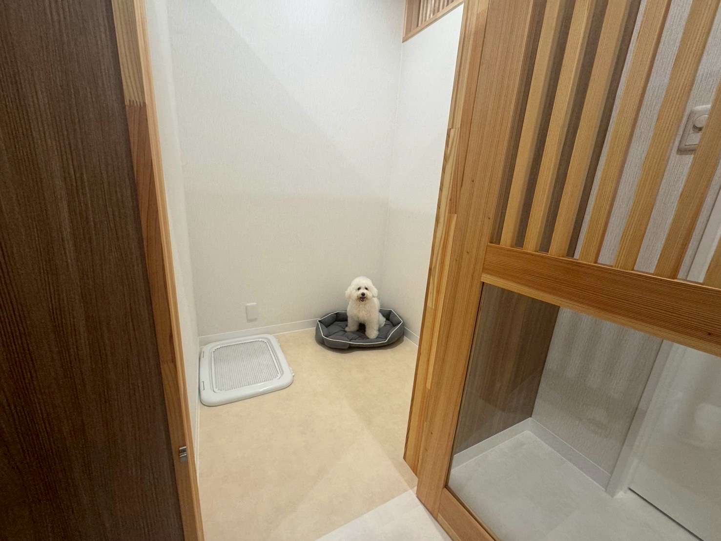 宮崎県宮崎市のペットホテル Dogsalon&Hotelとろろの7枚目